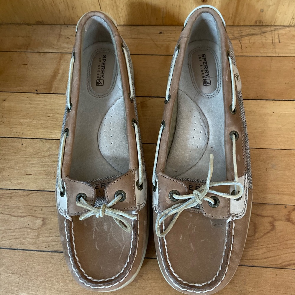 Sperry Angelfish